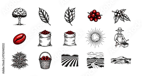 Hand drawn coffee icons: farm scenes, beans, and leaves in vintage style