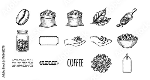 Hand drawn coffee elements: beans, leaves, bags, and decorative accents