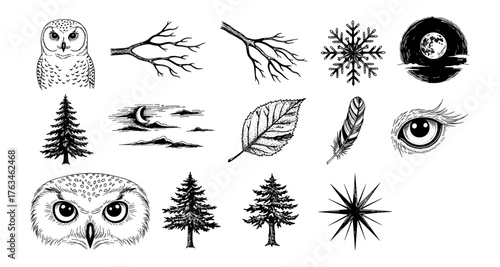 Nature elements collection: owl, trees, and winter scenes in detailed black and white