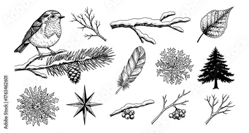 Detailed forest and winter nature elements in monochrome style