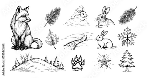 Hand-drawn woodland creatures and nature elements in black and white