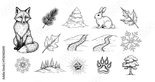 Hand-drawn winter forest elements with fox, rabbit, and nature icons