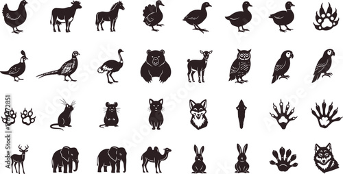animal silhouettes and paw prints vector, diverse wildlife illustration for educational materials, creative pet designs, and nature inspired projects