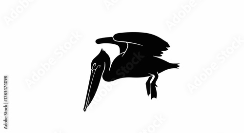 Silhouette of a pelican in flight against a white background
