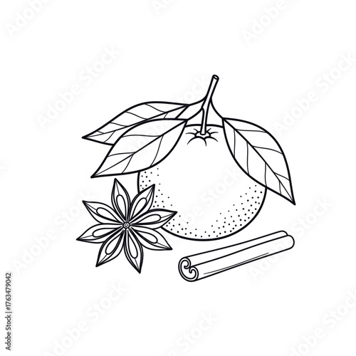 Orange fruit, cinnamon stick and star anise symbolizing Christmas aroma, warmth and winter celebration. Line art vector illustration, isolated on a transparent background