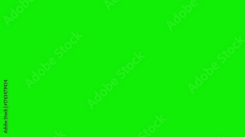 Subscribe Button Animation on Green Screen | YouTube Alert | Chroma Key Video