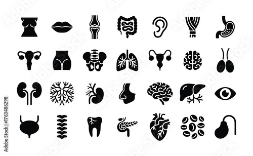 Human Body Anatomy Organs and Medical Icons Set.