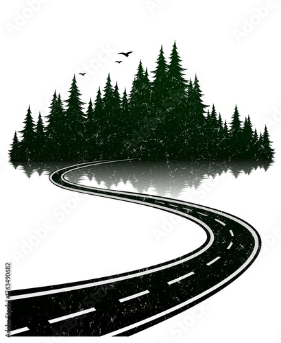Winding road with coniferous forest.
