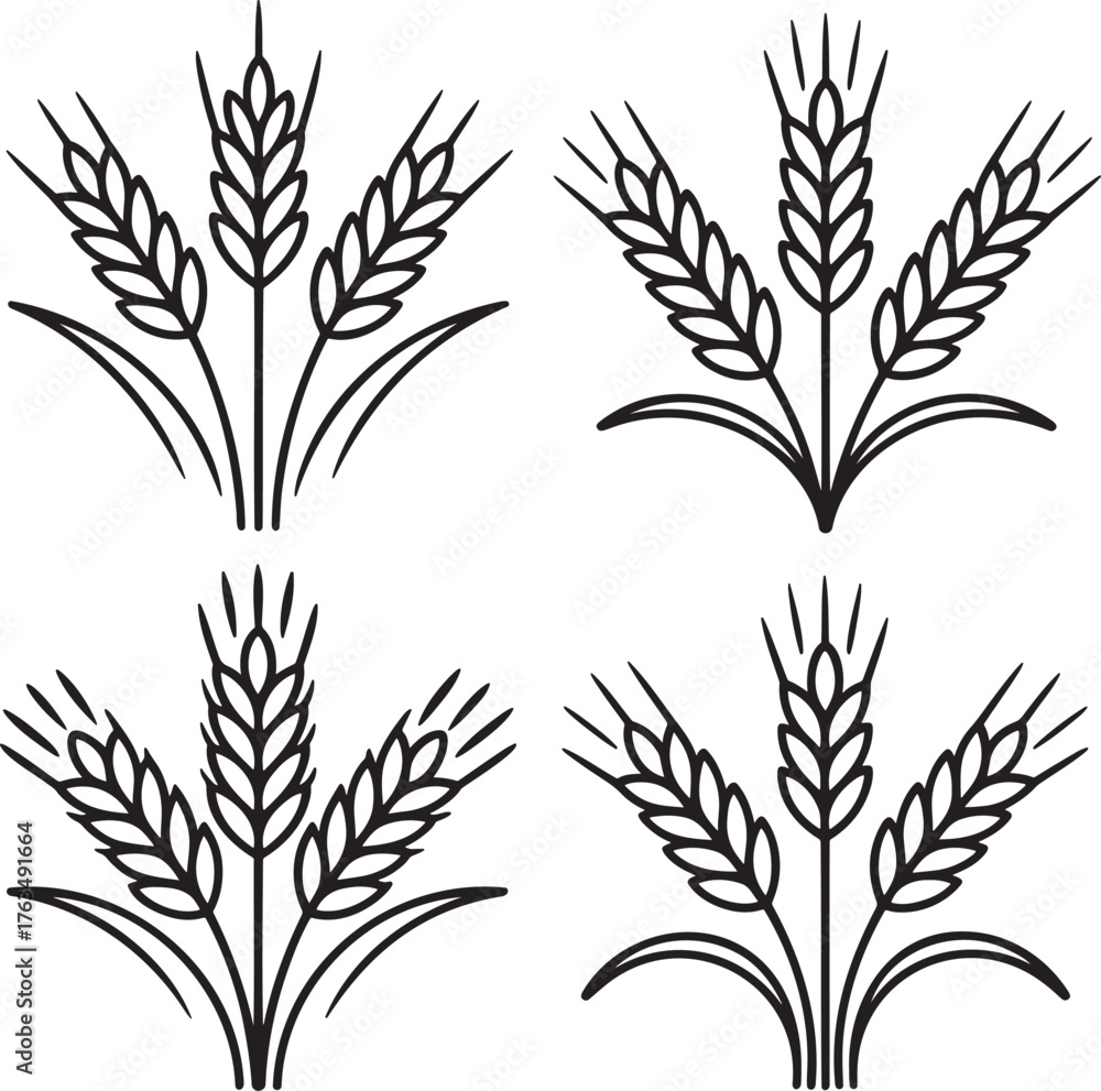 Fototapeta premium Set of Wheat Outline vector illustration isolated On Transparent Background
