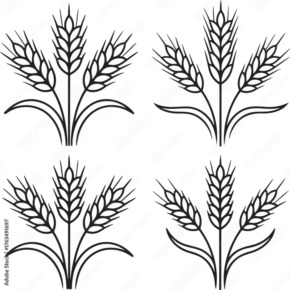 Fototapeta premium Set of Wheat Outline vector illustration isolated On Transparent Background