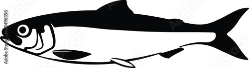 Silhouette vector shad fish swimming monochrome isolated Illustrator