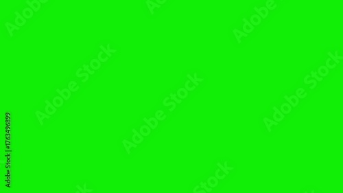 Subscribe with Bell Icon Animation on Green Screen | YouTube Notification Alert | Chroma Key Video