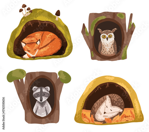Cute sleeping wild animals in underground and tree den