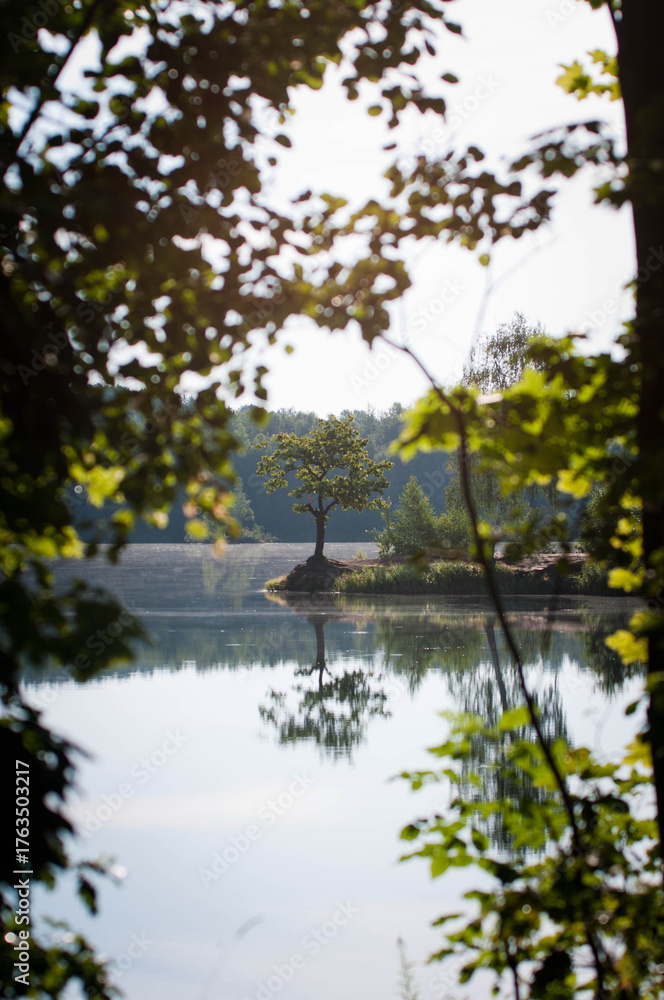 Obraz premium Morning mountain landscape covered with mist and soft clouds drifting over the peaks. A serene and mysterious scene capturing the beauty of nature at sunrise. Perfect for themes of travel, mountains,