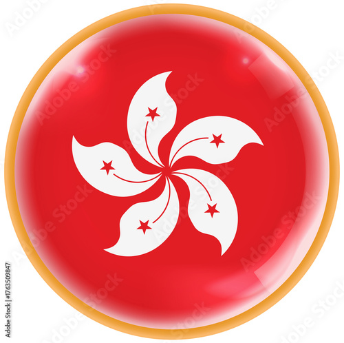 Photography hongkong flag vector illustration