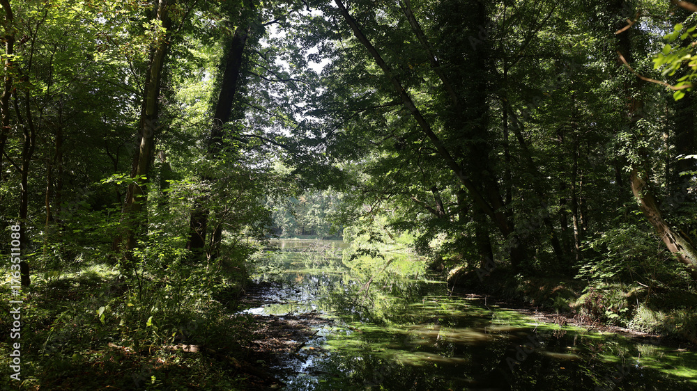 Fototapeta premium Rich greenery of park in Pszczyna Poland