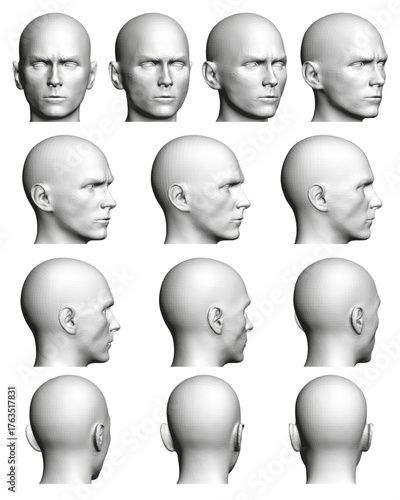 Realistic 3D model of a male head character set displaying facial expression. This detailed anatomical visualization is perfect for medical, educational, and artistic projects.