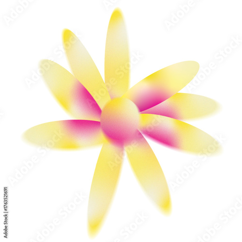 frangipani flower isolated