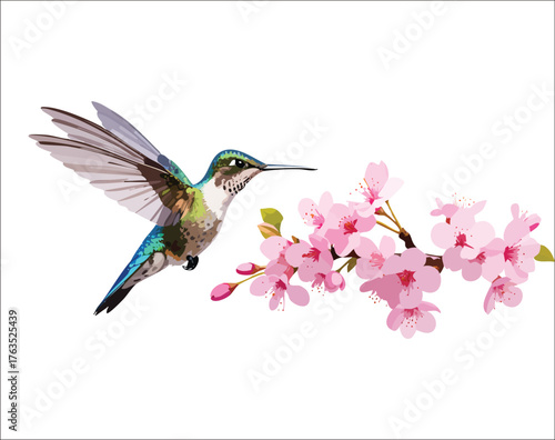  Vibrant hummingbird hovering near a blooming twig of pink colored flowers