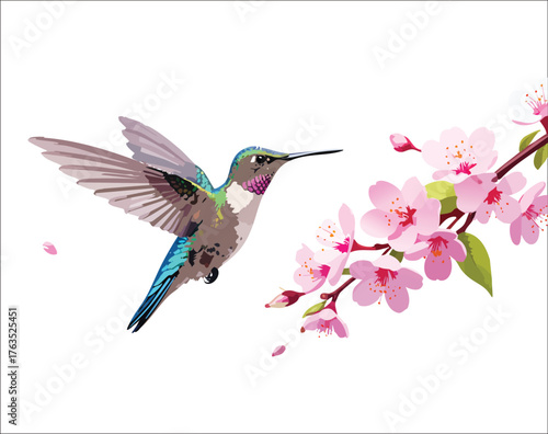  Vibrant hummingbird hovering near a blooming twig of pink colored flowers
