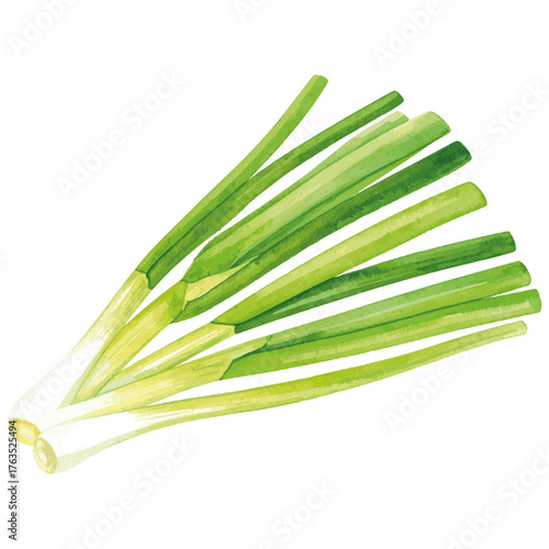 Fresh Green Onion Watercolor Painting