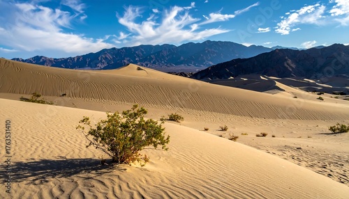 Fototapeta Naklejka Na Ścianę i Meble -  An expansive desert landscape bathed in sunlight, revealing vast sand dunes and a distant mountain range under a blue sky with scattered clouds