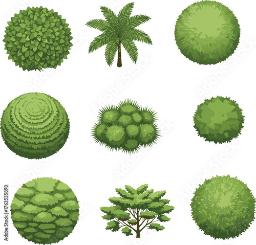 Top view tree illustrations, green bushes, palm tree, landscape design elements, garden plants, architectural foliage, natural vegetation, park planning