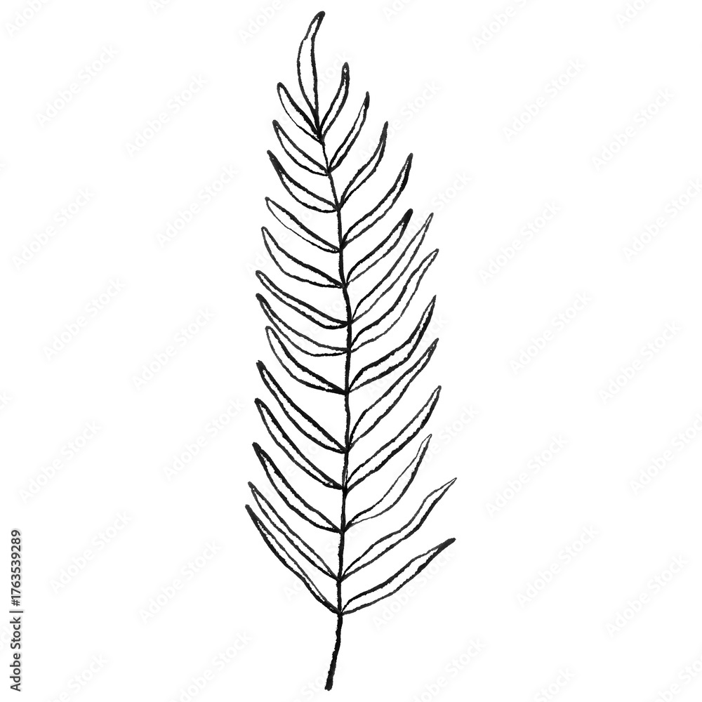 Fototapeta premium Minimalist Botanical Branch Line Art, Hand Drawn Leaf Outline, Wedding floral ink line art