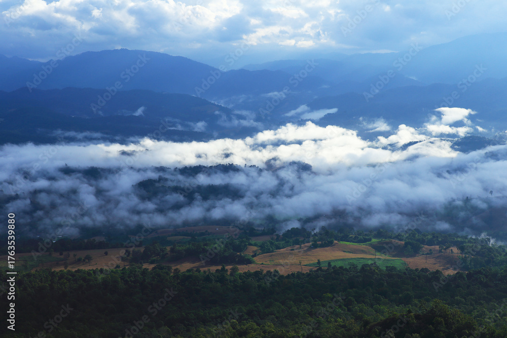 Obraz premium Agricultural conditions in the valleys of the Karen tribe in Umphang District, Tak Province, Thailand