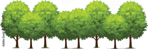 Row of lush green trees, vibrant foliage, natural landscape, healthy environment, eco-friendly background, forest scenery, outdoor nature, environmental conservation, greenery, pa