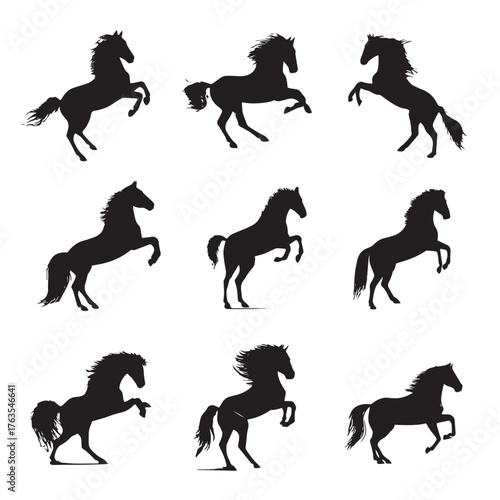 Dynamic horse bucking silhouette set in black and white isolated on white background