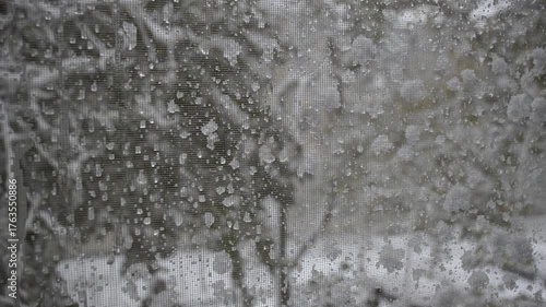 view through the window of a strong snowstorm. There are blurry drops of melted snow on the glass. there was a lot of snow stuck on the tree branches and leaves. trees bend from the wind