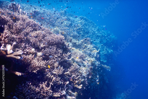 underwater world map