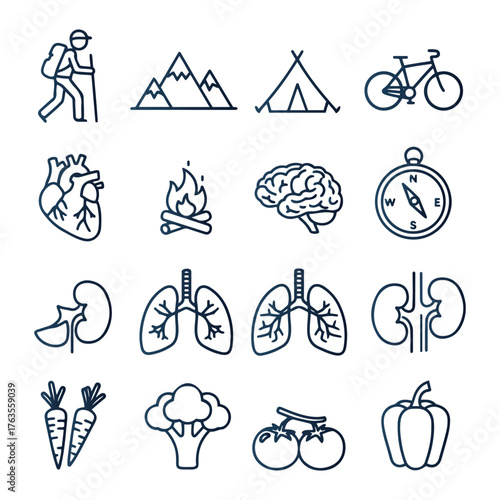 Healthy Lifestyle and Outdoor Activity Line Icon Set | Anatomy and Nature Vector Symbols