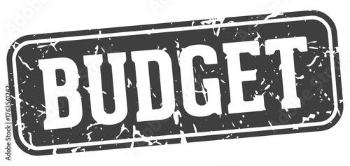 budget rectangular sign. budget stamp