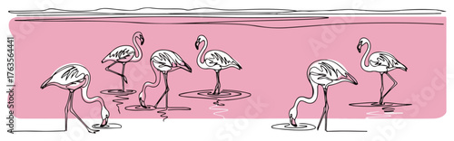Flamingo flock continuous line drawing. Minimalist one line art of exotic birds in water for summer and nature concepts