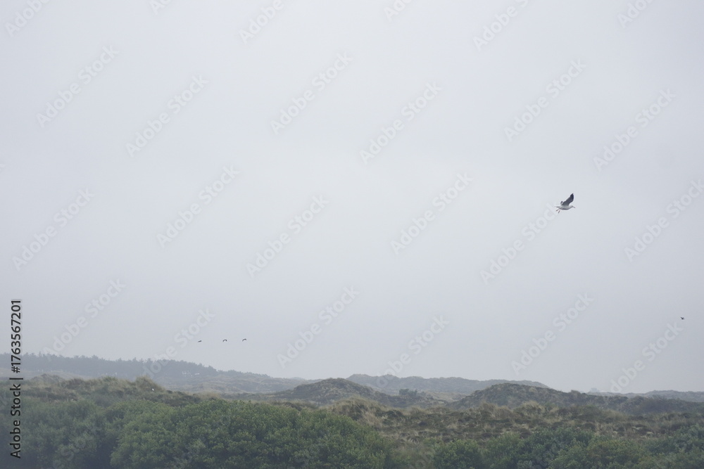 Fototapeta premium Terschelling part I