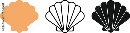 Seashell vector illustration set beach ocean sea scallop icon