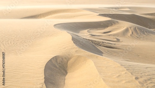 Fototapeta Naklejka Na Ścianę i Meble -  An undulating landscape of wind-swept sand dunes, lit by warm sunlight, creates a textured and serene natural scene. The wind's path is visible