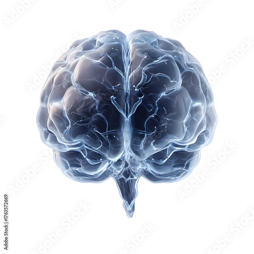 Glowing translucent blue brain with vascular network symbolizing intelligence and cognition on a white background