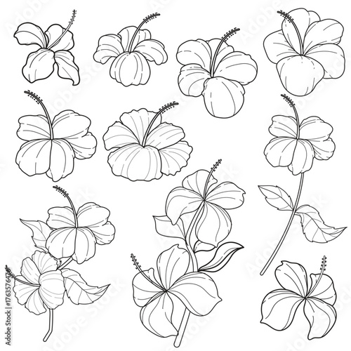 Vector outline set of hibiscus flowers. Hand-drawn tropical floral elements for coloring books, designs, and botanical illustrations.