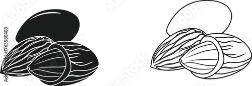 Illustration of almonds with color and black and white variations