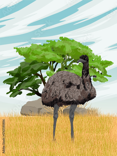 Emu in the savannah. Realistic vector vertical landscape