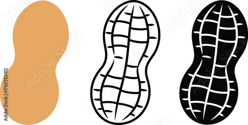 Peanut illustration set vector drawing healthy food snack