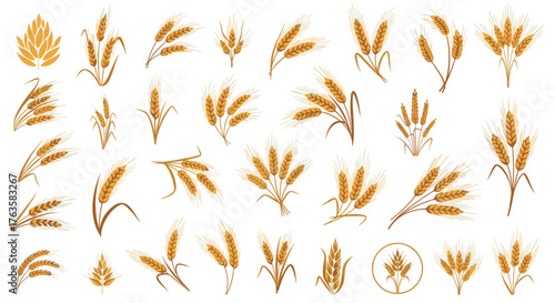 Golden Wheat and Rye Ears Collection for Agriculture and Harvest.