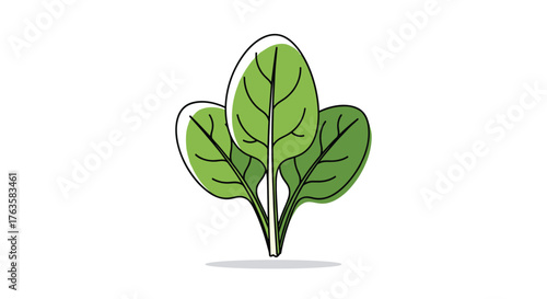 Fresh Green Spinach Leaves Healthy Vegetable Illustration.