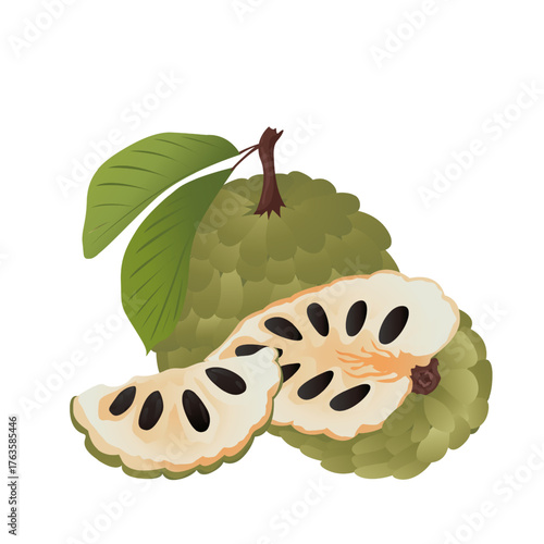 Cherimoya (Custard Apple) fruit with leaves.
