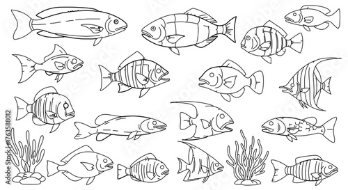 Collection of fish illustrations, featuring various species and aquatic plants in black and white