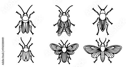 Collection of insect beetle, moth, bug entomology and nature concept