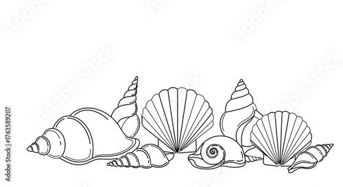 A beautiful assortment of seashells, showcasing the intricate details and textures of the oceans treasures